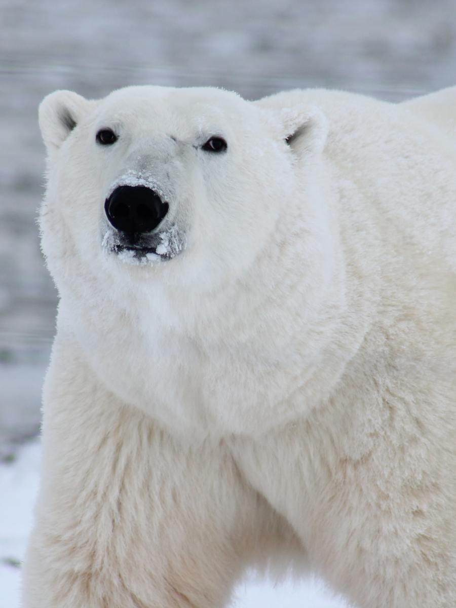 The Morning Memo 07/16