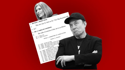 Elon and the Big, Ugly Bill